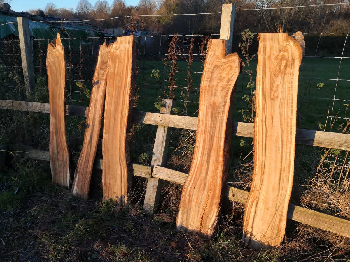 planks leaning against fence