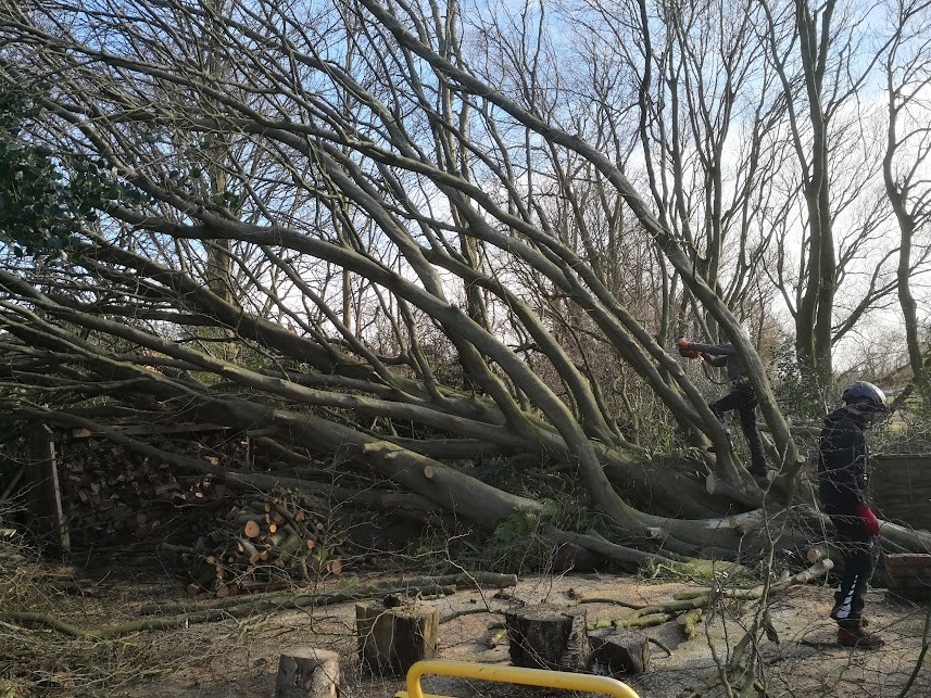 Storm damage